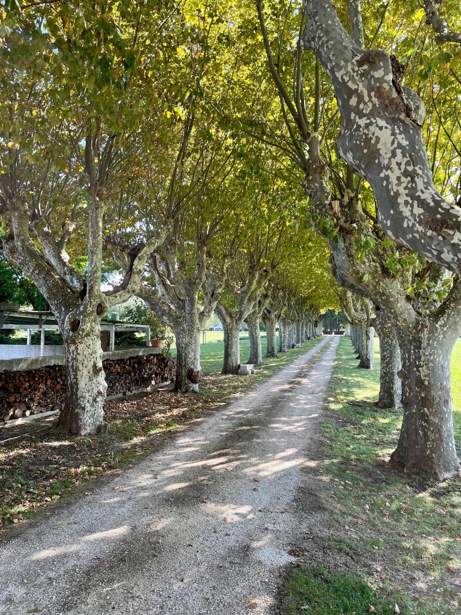 Le Mas Saint Jacques Le Pontet  Exterior foto